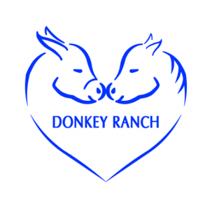 Donkey Ranch